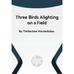 Three Birds Alighting on a Field