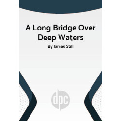 A Long Bridge Over Deep Waters