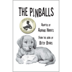 The Pinballs