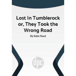 Lost In Tumblerock or, They Took the Wrong Road