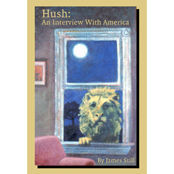 Hush: An Interview With America (Digital Script)
