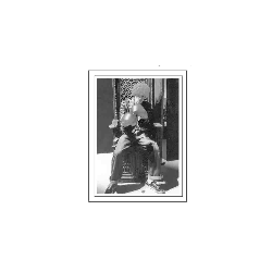An Irish Play (Digital Script)