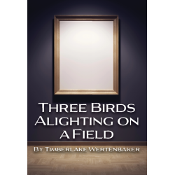 Three Birds Alighting on a Field