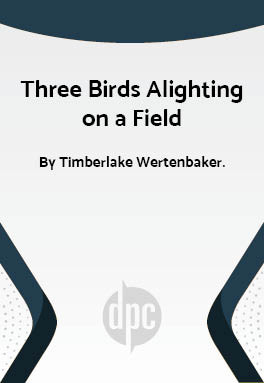 Three Birds Alighting on a Field