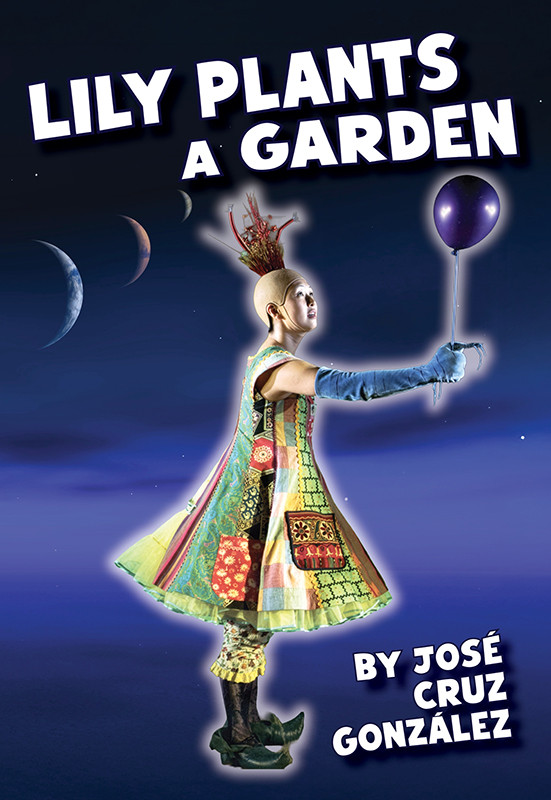 Lily Plants A Garden